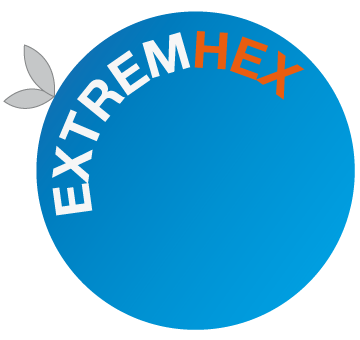 ExtremHex Firenze creazioni web e media